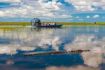 Everglades Tour from Miami with Airboat ride