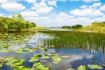 Places to see in Florida - Everglades Safari Park