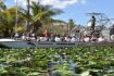 Airboat of tour of Everglades Safari Park