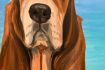 Fun things to do in Dallas - paint your pet