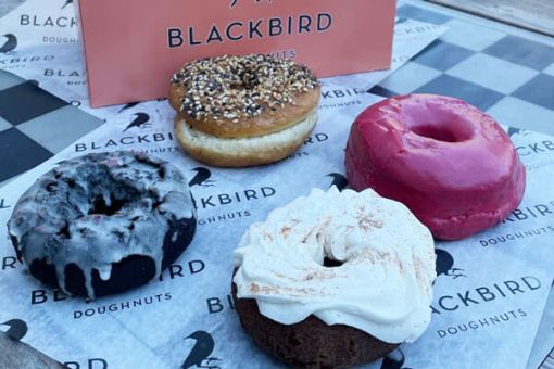 Harvard Square Historical Donut Tour