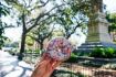 Best Savannah Donut Tour