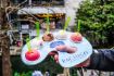 Explore San Antonio on food tour