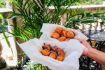 Best donuts & pastries in Madison WI